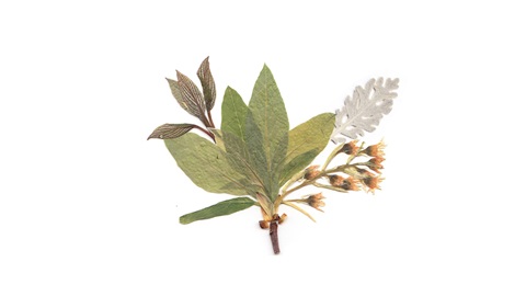 澳洲留学怎么通过买教材节省花费
