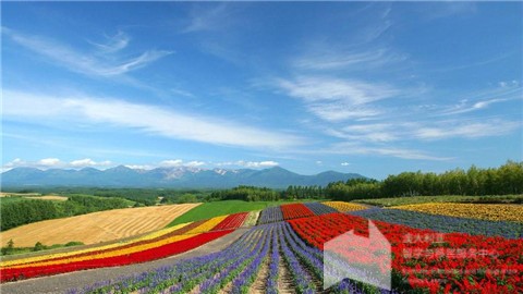 澳洲国立大学最新招生改革细节！
