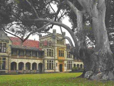 西澳大学国际优秀学生硕士奖学金政策解读
