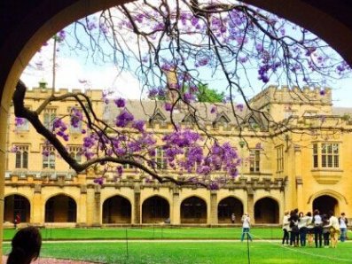 只了解热门专业？来看看麦考瑞大学三大“黑马”专业。