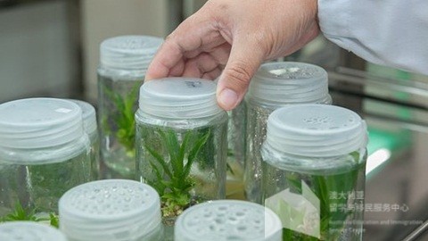 澳洲留学的十个问答