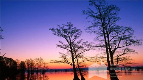 澳大利亚留学,留学政策,澳大利亚大学 澳大利亚留学,留学政策,澳大利亚大学